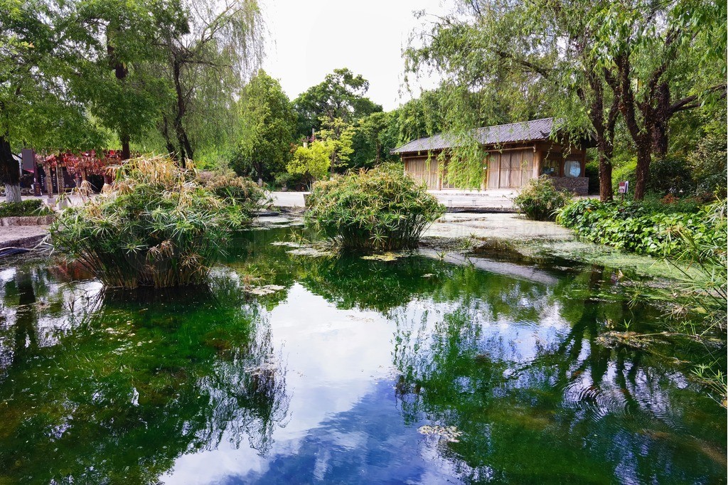 麗江束河古鎮的園林景色