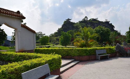 廣西又一免費的大型公園,面積遠超玉林園博園,被稱北流綠肺